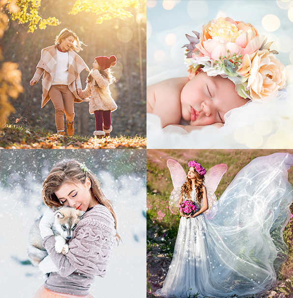 entire collection lightroom presets