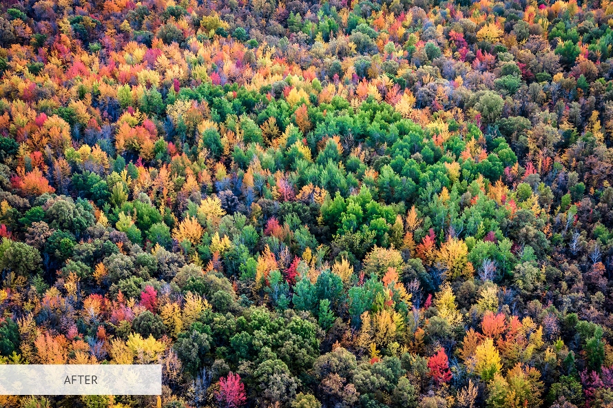 HDR Lightroom Preset Free Cold After