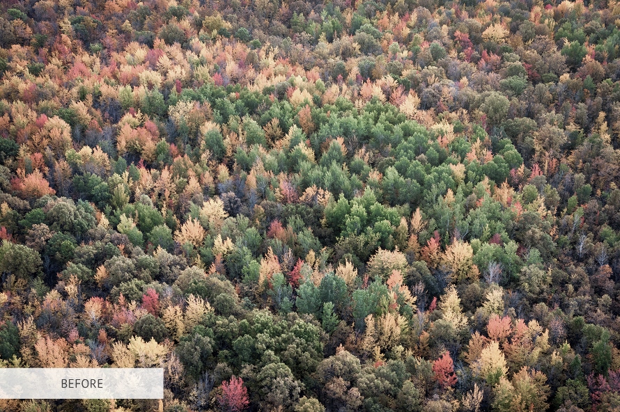 HDR Lightroom Preset Free Cold Before