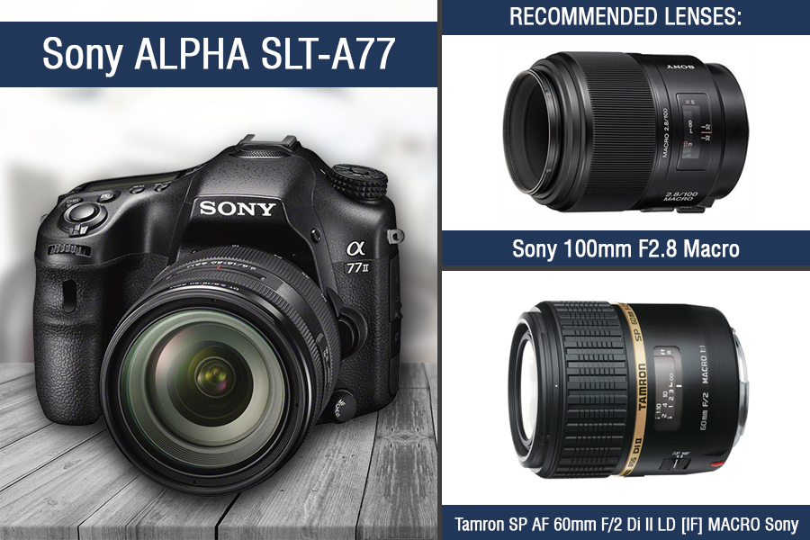 Best camera for jewelry photography for beginners