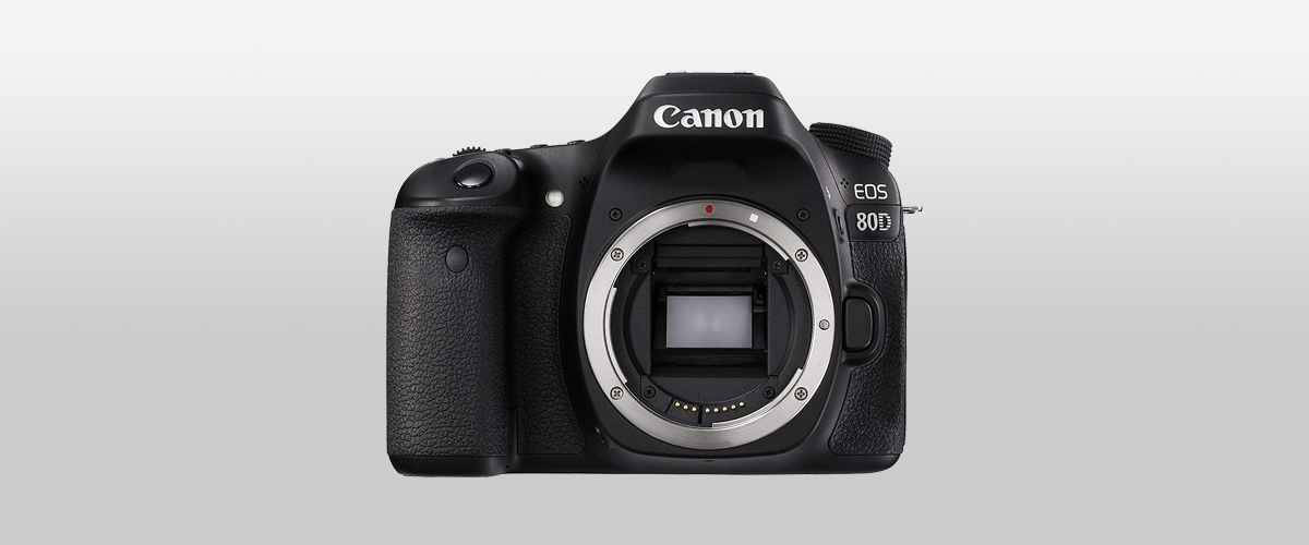 10 Best Canon Cameras for Portraits What Camera Do Professional