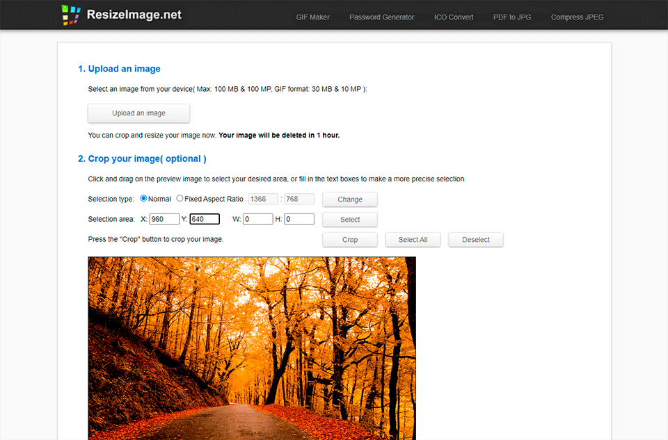 online image resize free photo resizing software interface