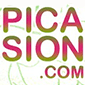picasion free photo resizing software logo