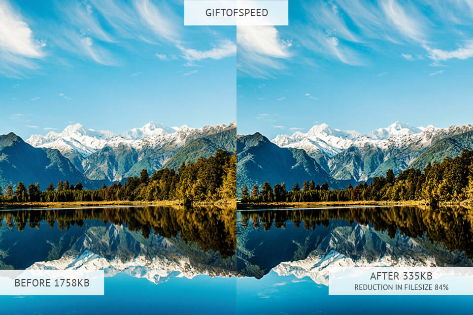 GiftOfSpeed image optimizer results