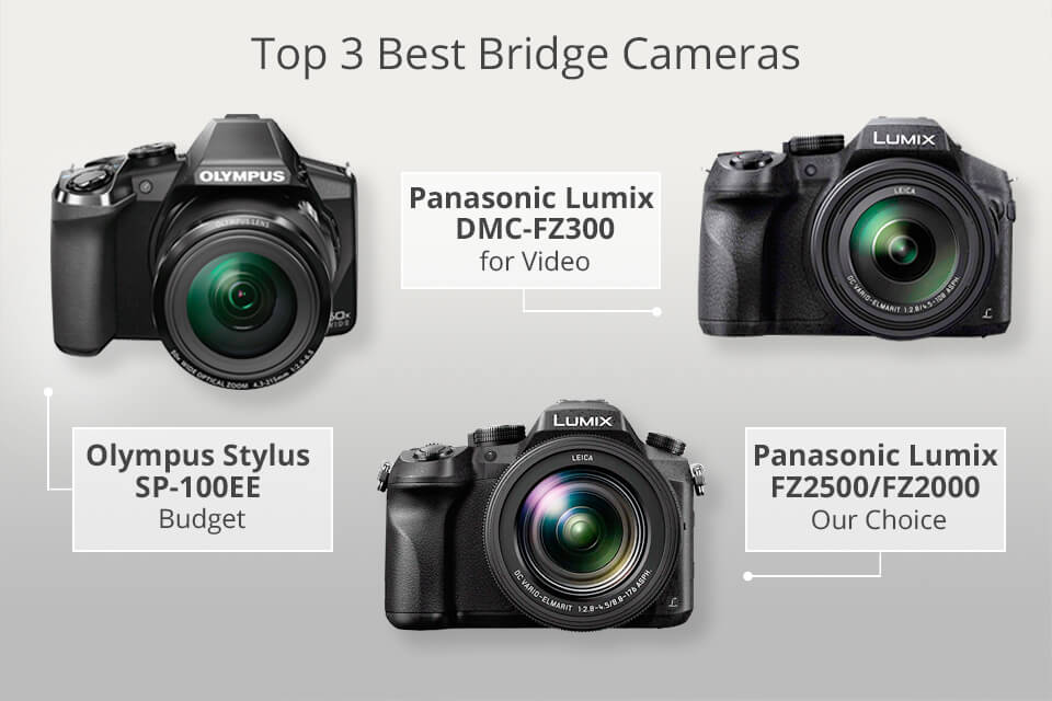 15 Best Bridge Cameras - What Is The Best Superzoom Camera?