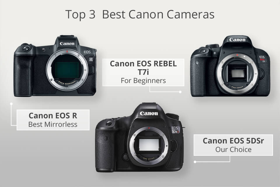 What Is The Best Canon Dslr Camera To Buy Buy Walls 35700 Hot Sex Picture