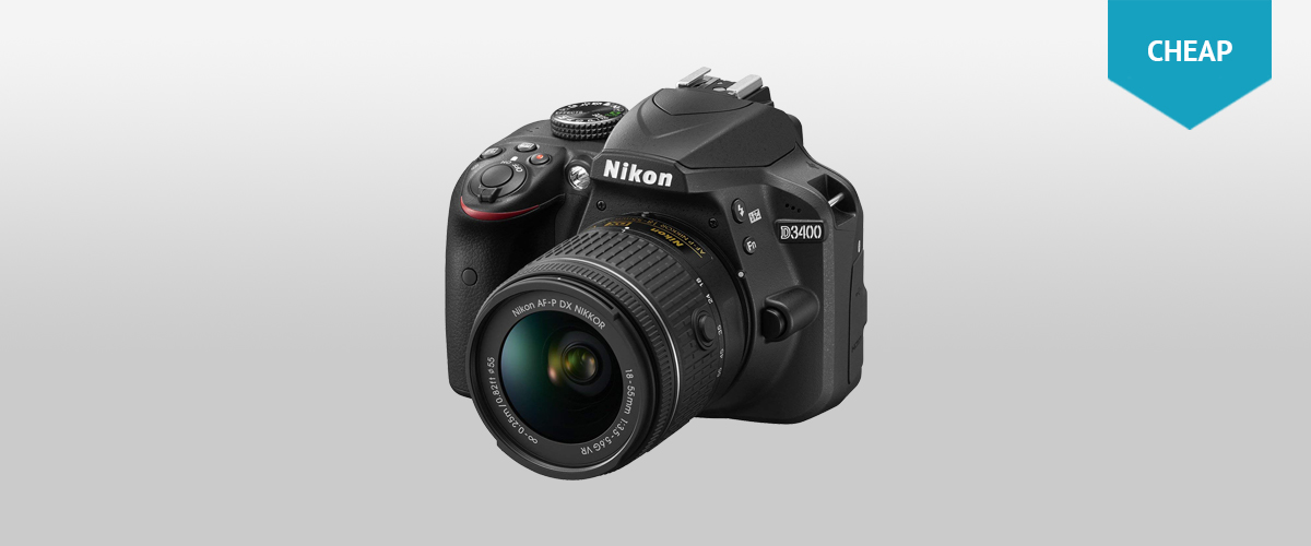 16 Best Cameras for Portraits What Camera Do Professional Portrait