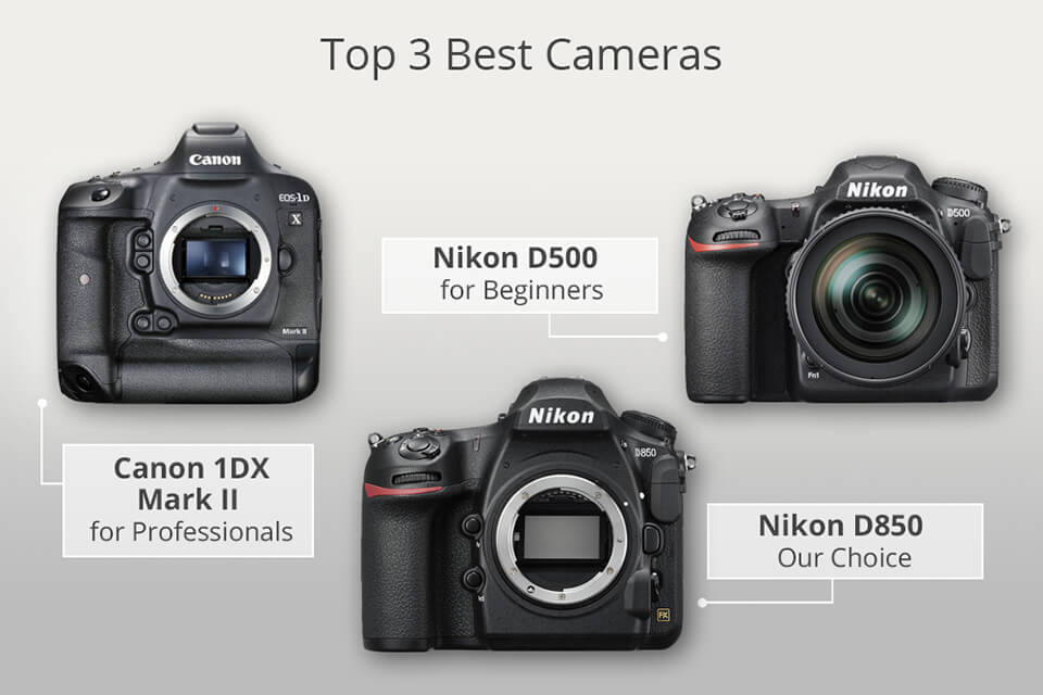 15 Best Cameras for Professional Photographers What is the Best