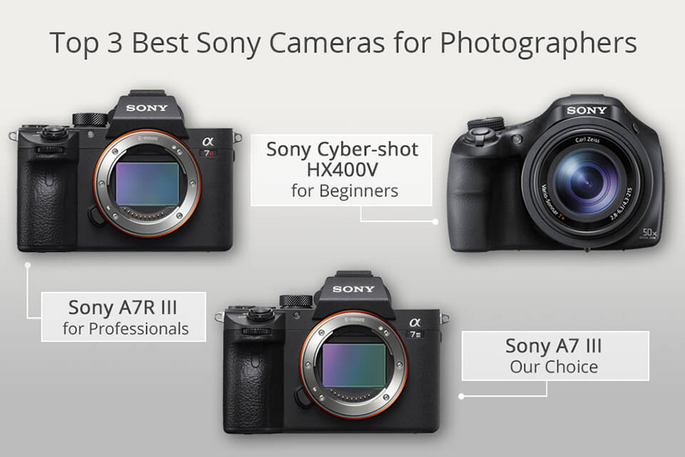 Sony Digital Camera Comparison Chart