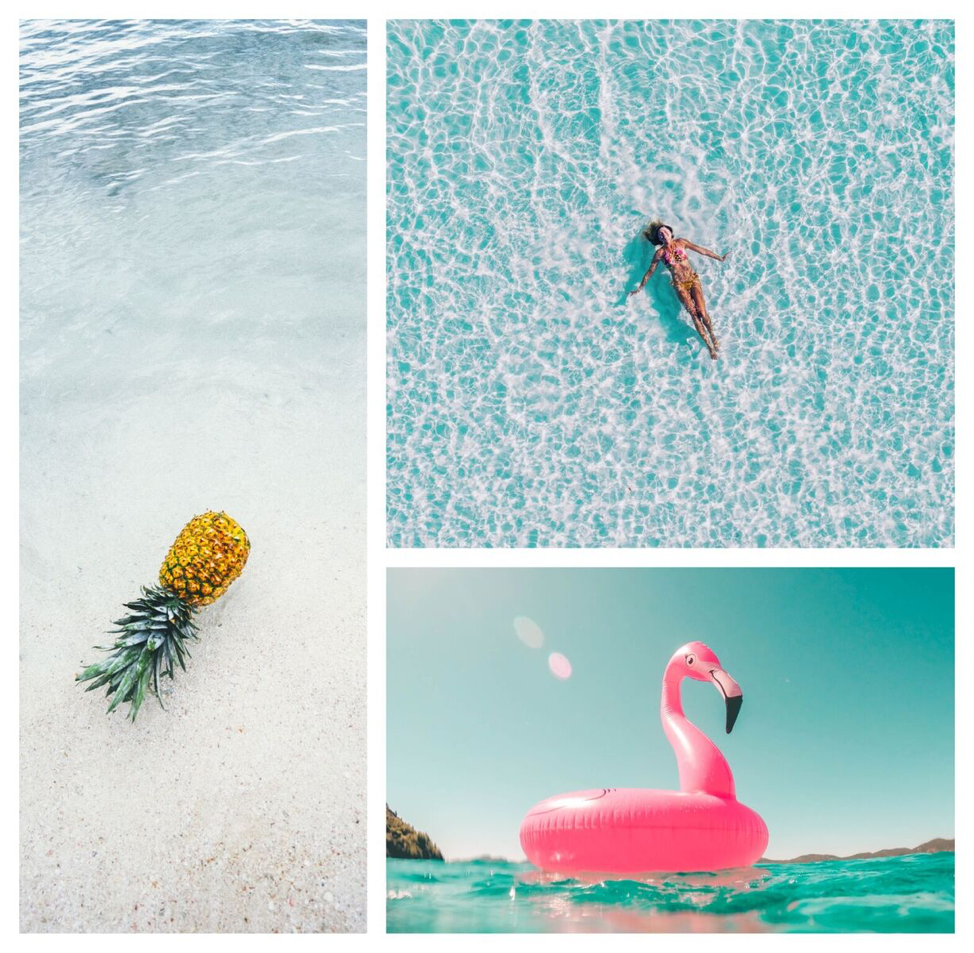 BeFunky Photo Editor Review Why Photographers Use BeFunky Online