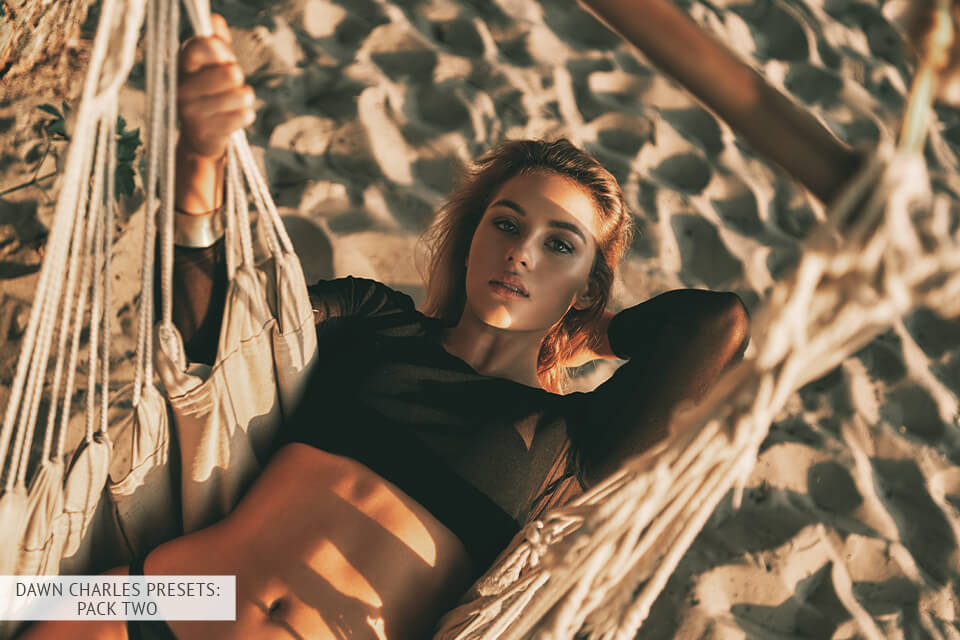 Dawn Charles Presets Review (+FREE DC Presets)