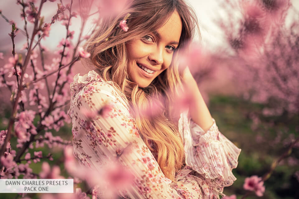Dawn Charles Presets Review (+FREE DC Presets)