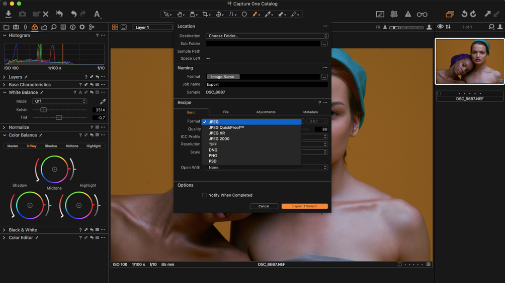 Capture One vs Lightroom What Software To Choose and What Does Capture One do?