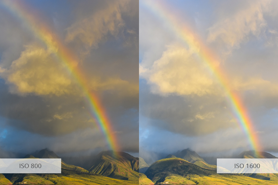 30 Rain Photography Tips How to Take Photography in the Rain?