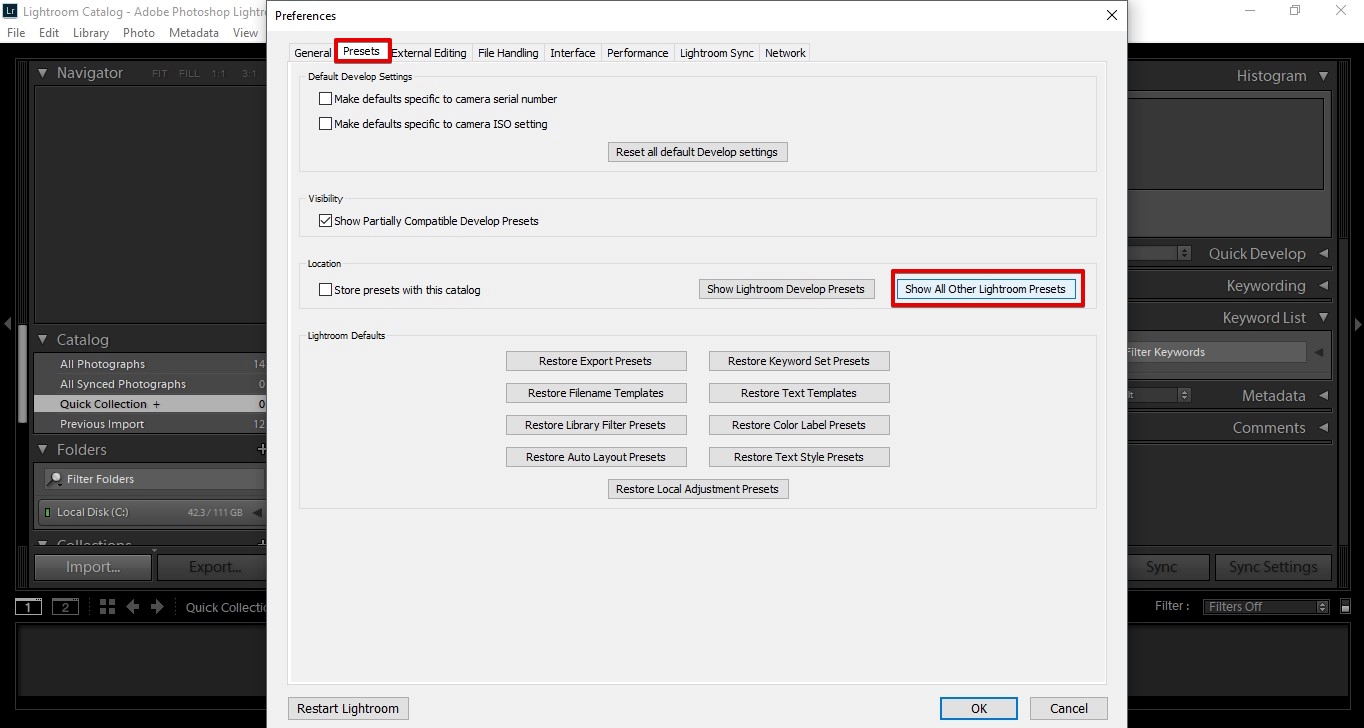 How to Install Lightroom Brushes Guide for Beginners