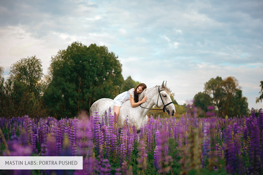 Tribe Archipelago Presets Review 10 FREE Archipelago Presets