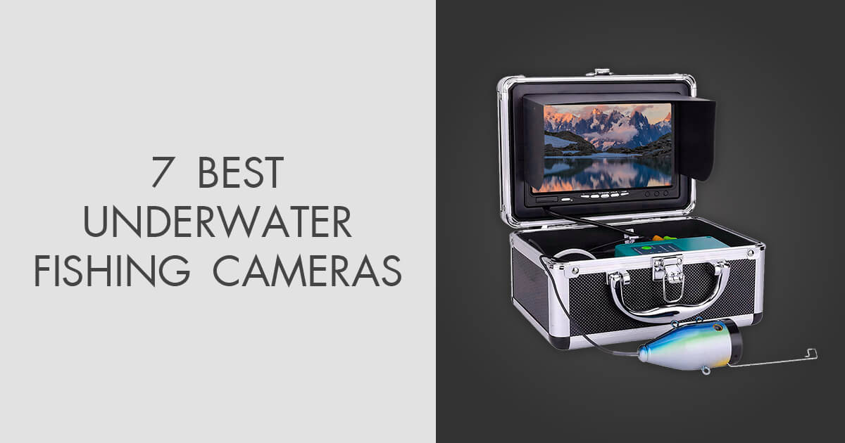 7 Best Underwater Fishing Cameras in 2024