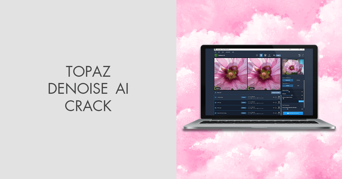 Topaz DeNoise AI 2.4.2 Crack is Here [2021] Tested