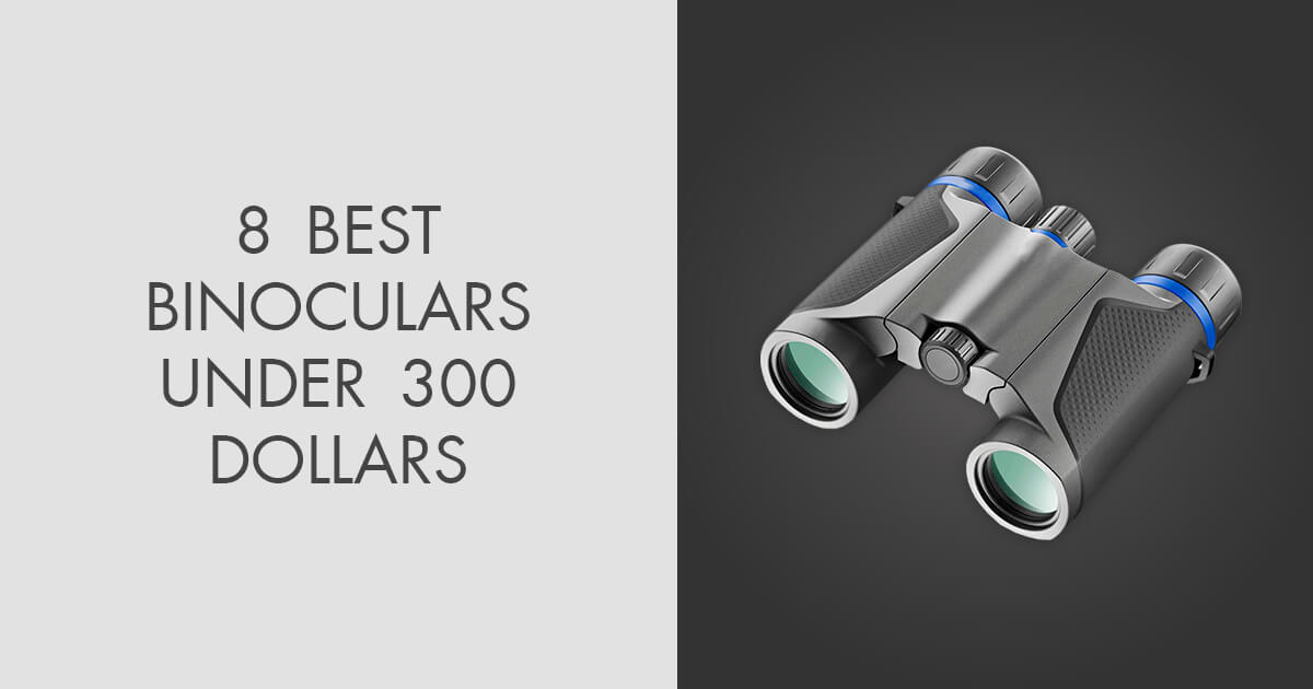 best binoculars under 300