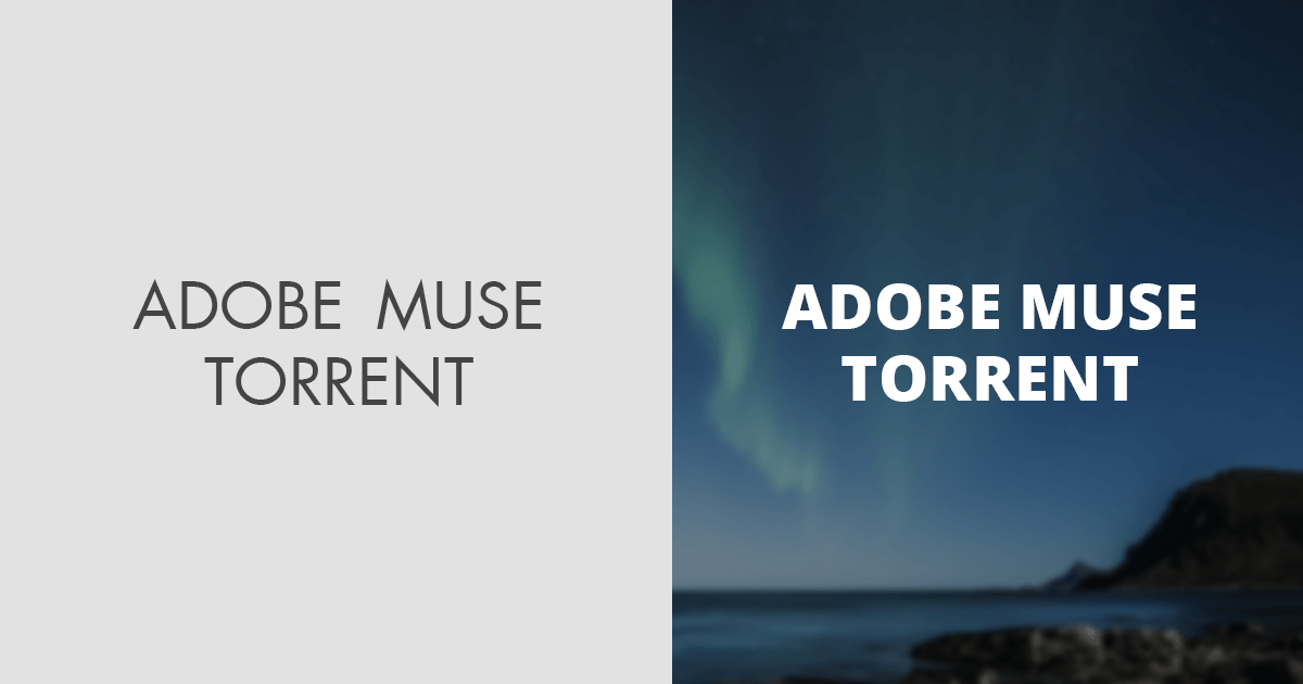 Adobe Muse Theme Torrent