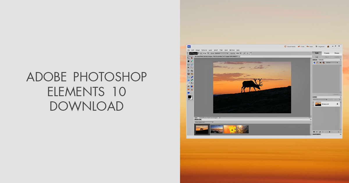 Adobe Photoshop Elements 10 Download (2024 Latest)