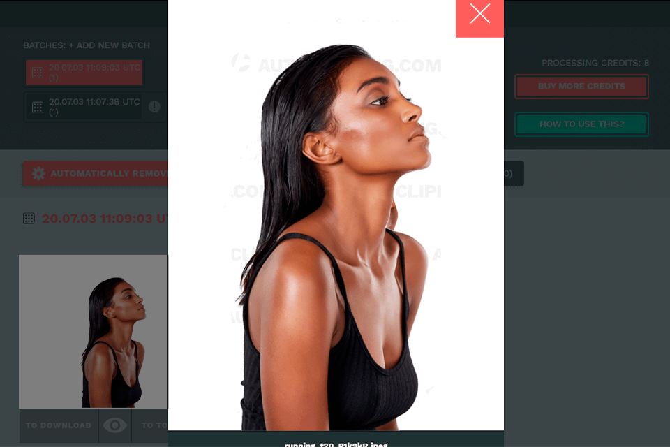 autoclipping interface free background removal software
