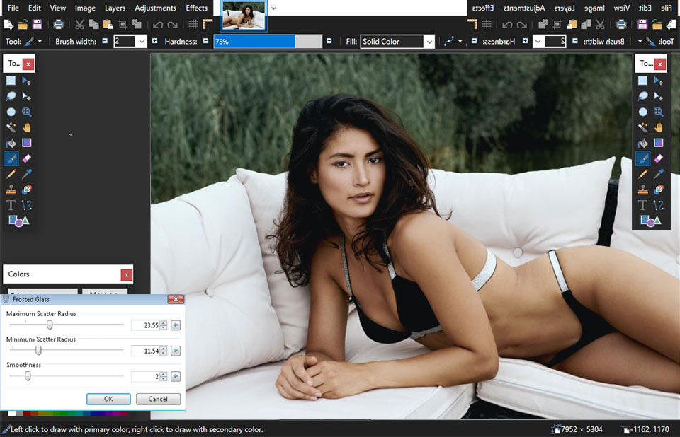 paint net free photo editor