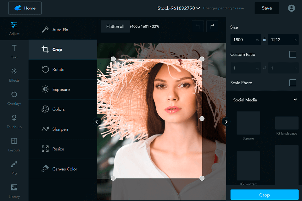 ribbet free photo editor interface