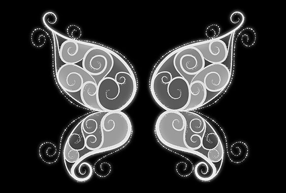 bird overlay photoshop