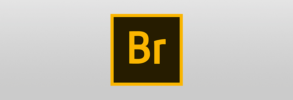 Adobe Bridge logotipi