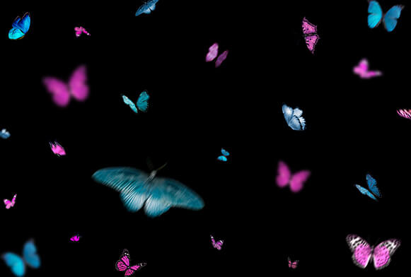 birds overlay photoshop