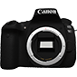 canon eos 90d low light video camera