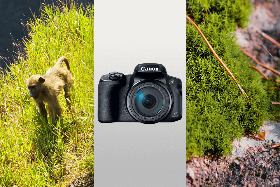 canon powershot sx70 hs bridge camera