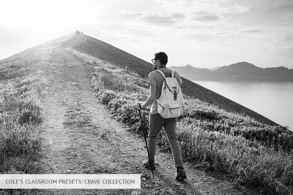 coles classroom crave collection presets