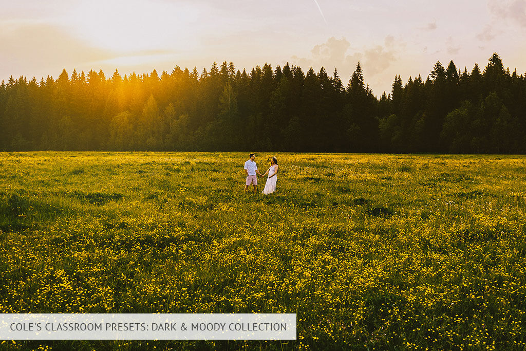 coles classroom dark and moody collection presets