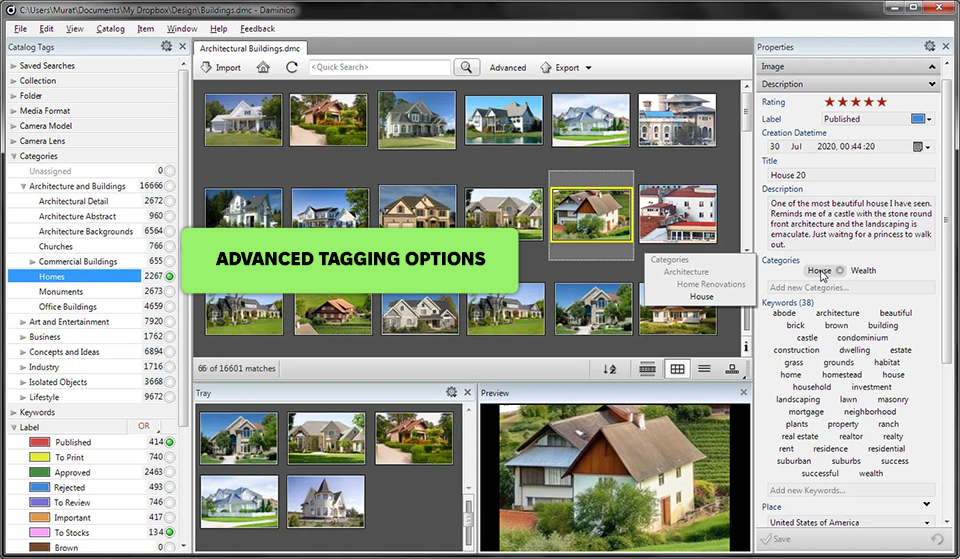 daminion photo catalog software interface