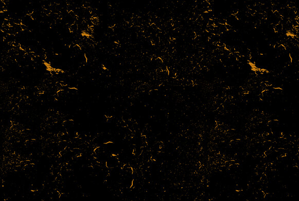 grunge layer image image