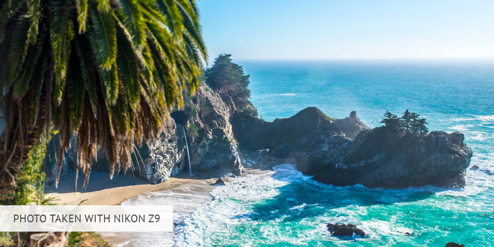 nikon z9 highest megapixel camera photo sample