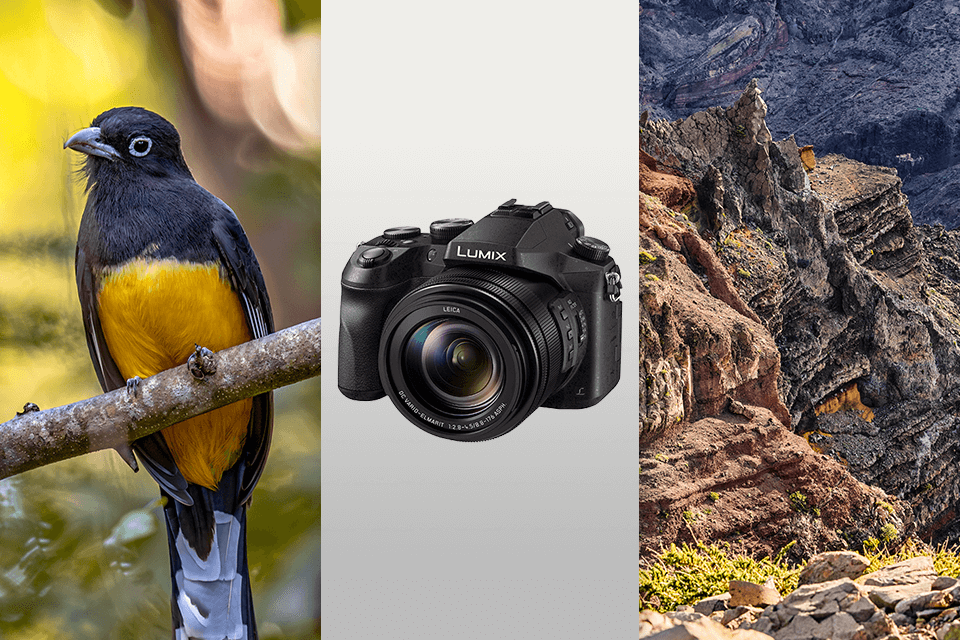 panasonic lumix fz2500 bridge camera