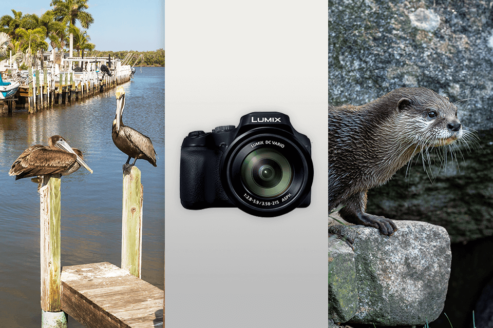 panasonic lumix fz80d bridge camera