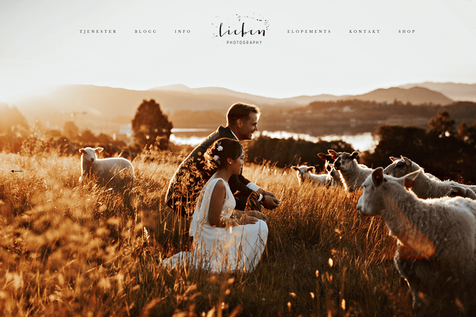 photography portfolio example