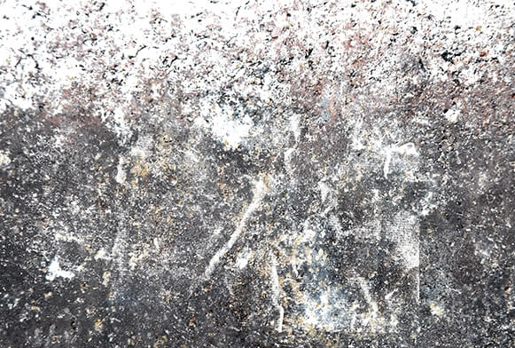photoshop overlays get free