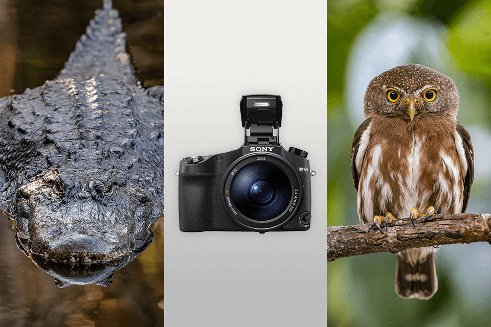 sony rx10 iv bridge camera