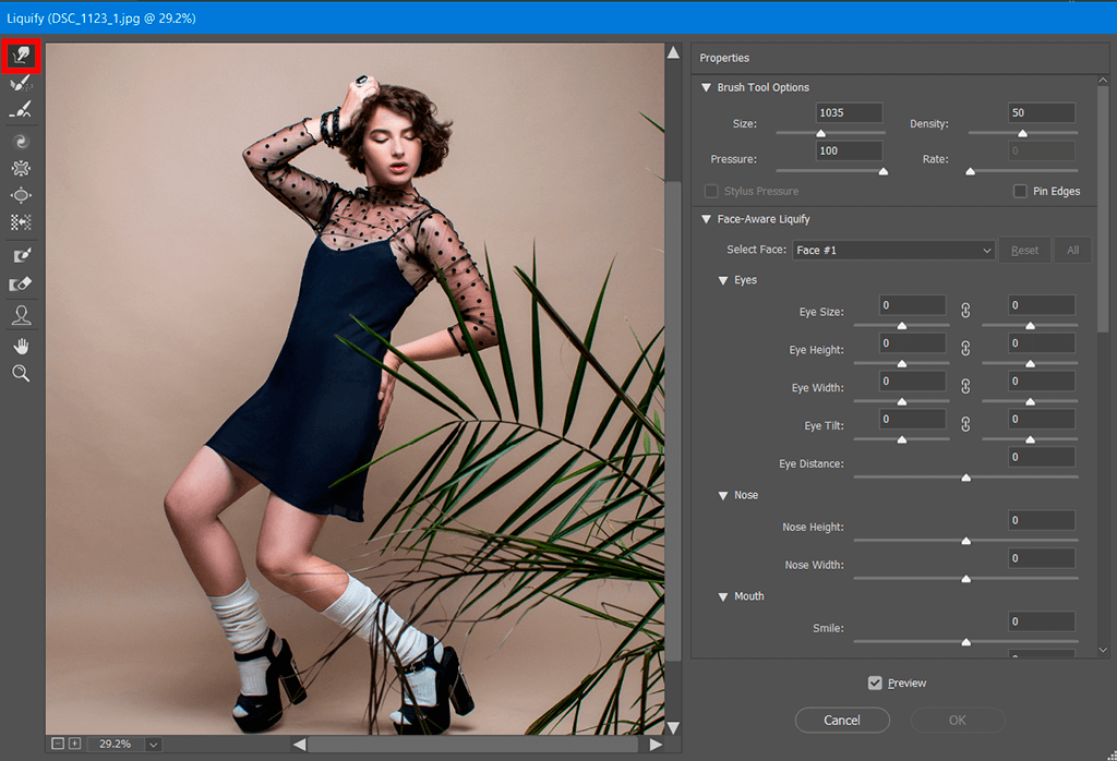 How To Use Liquify Tool In Photoshop For Beginners