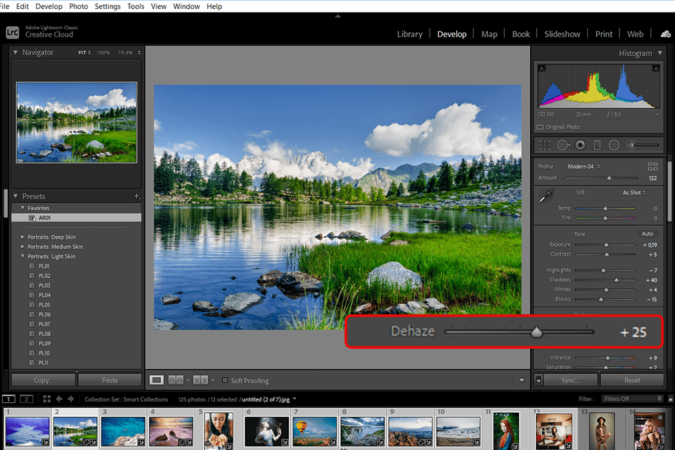 what does dehaze do in lightroom tutorial