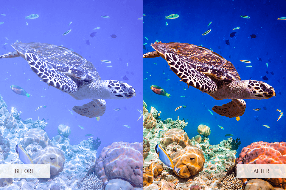 what does dehaze do in lightroom underwater