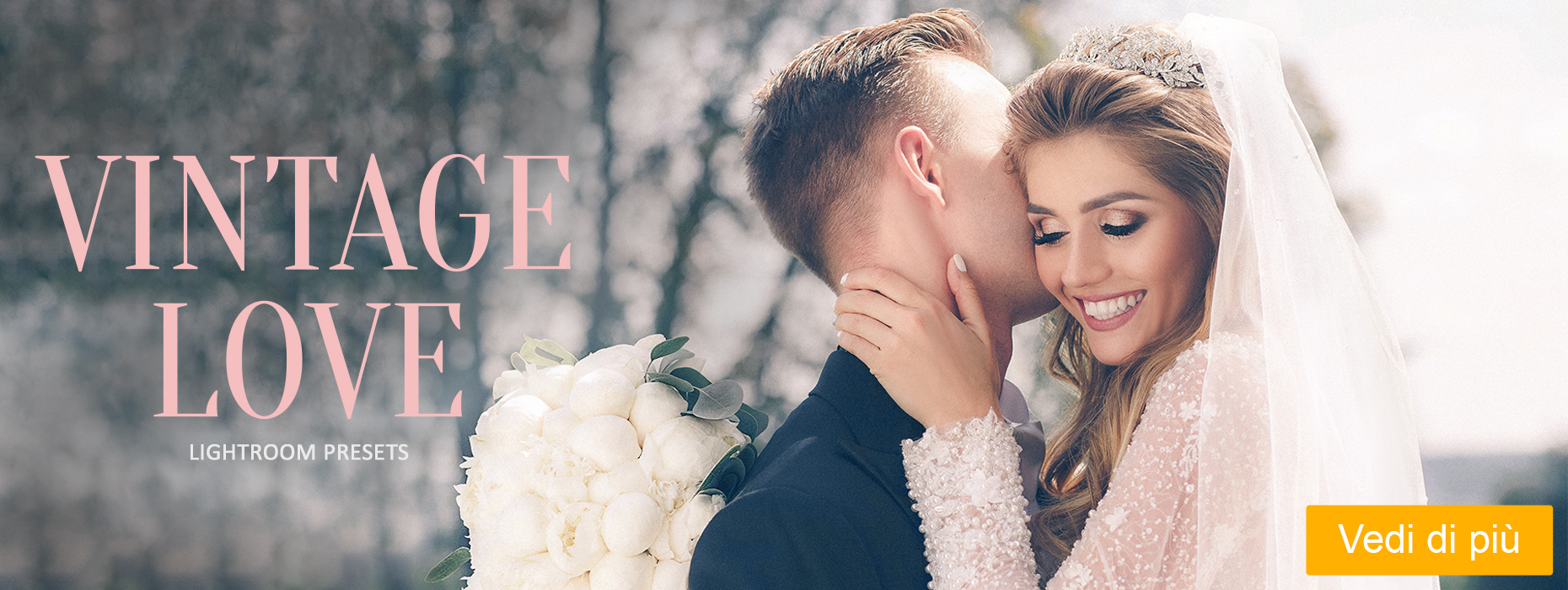 presets pellicole vintage