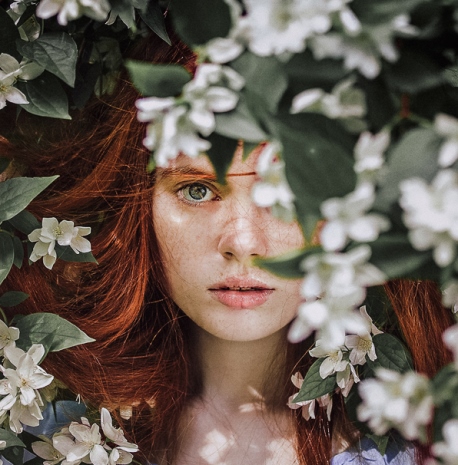 presets pellicole cover moody