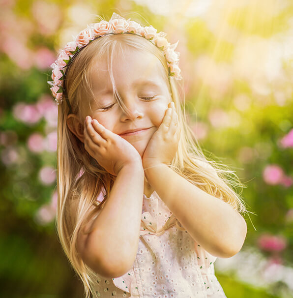 entire collection lightroom presets