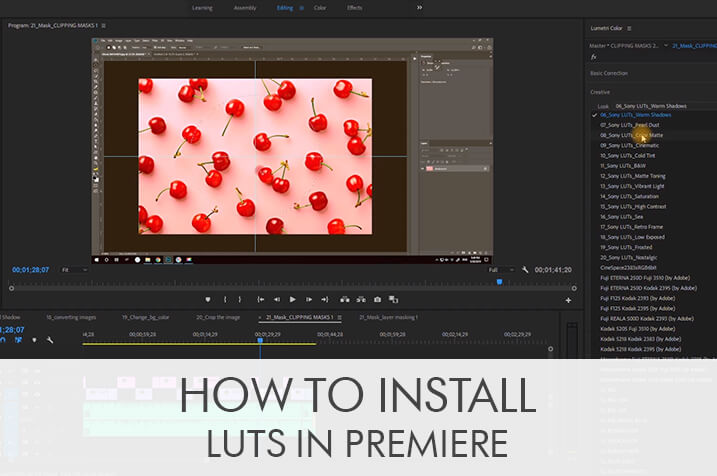 how to install luts premiere